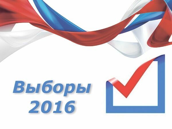 В РФ открыто более 20 уголовных дел по нарушениям в ходе выборной кампании