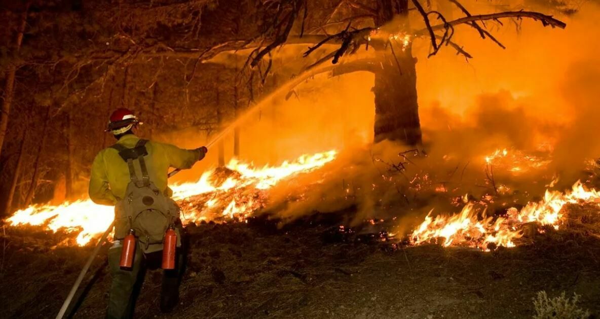Пожарные в Сочи трое суток тушат горящий лес