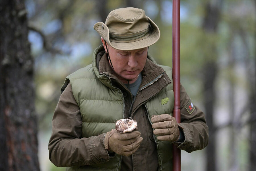 Возраст грибной охоты: как изменился Путин