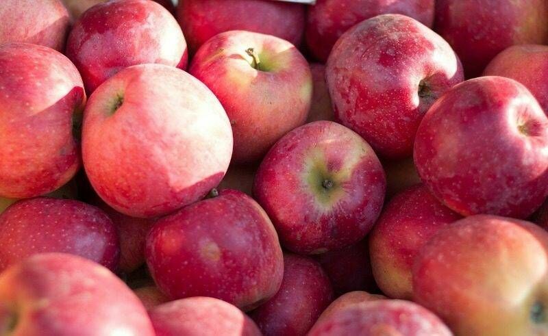 Россельхознадзор ввел запрет на "белорусские" яблоки