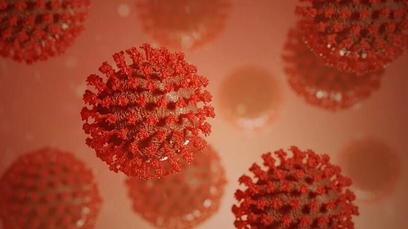 Китайские власти отвергли версии об искусственном происхождении коронавируса