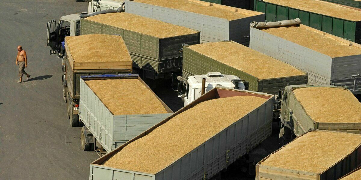 США обещают снять санкции с Белоруссии в обмен на транзит зерна из Украины