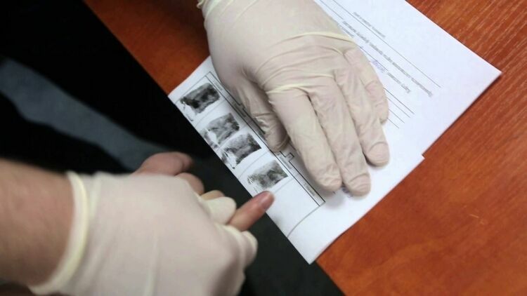 Иностранцев заставят сдавать отпечатки пальцев для въезда в РФ с 2017 года