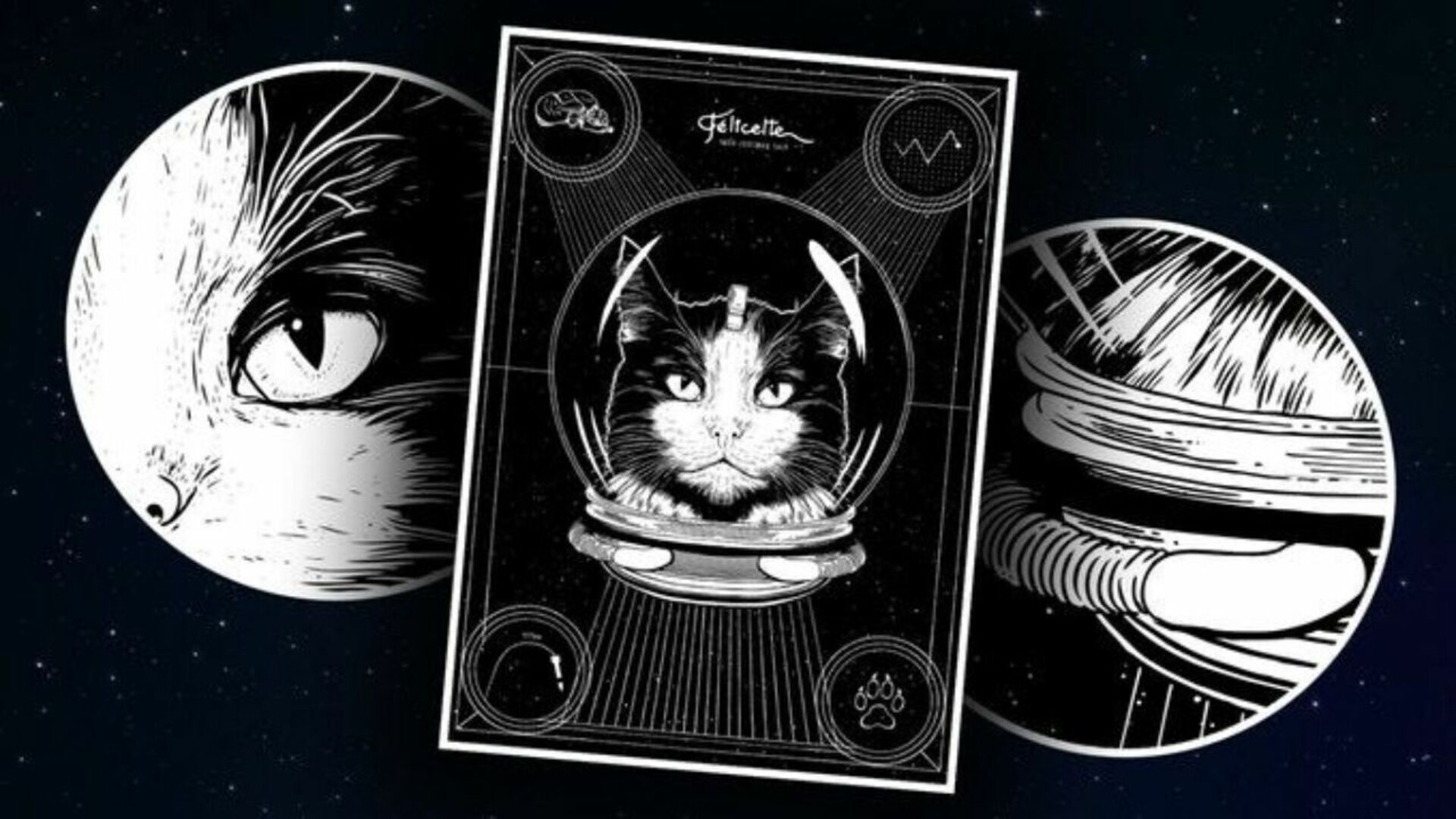 Астро кошка Фелисетт. Первая кошка космонавт Фелисетт. Фелисетт в космосе. Кот Фелисетт в космосе. 1 кошка в космосе