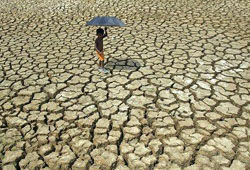 От рекордной жары в Индии умерли 80 человек