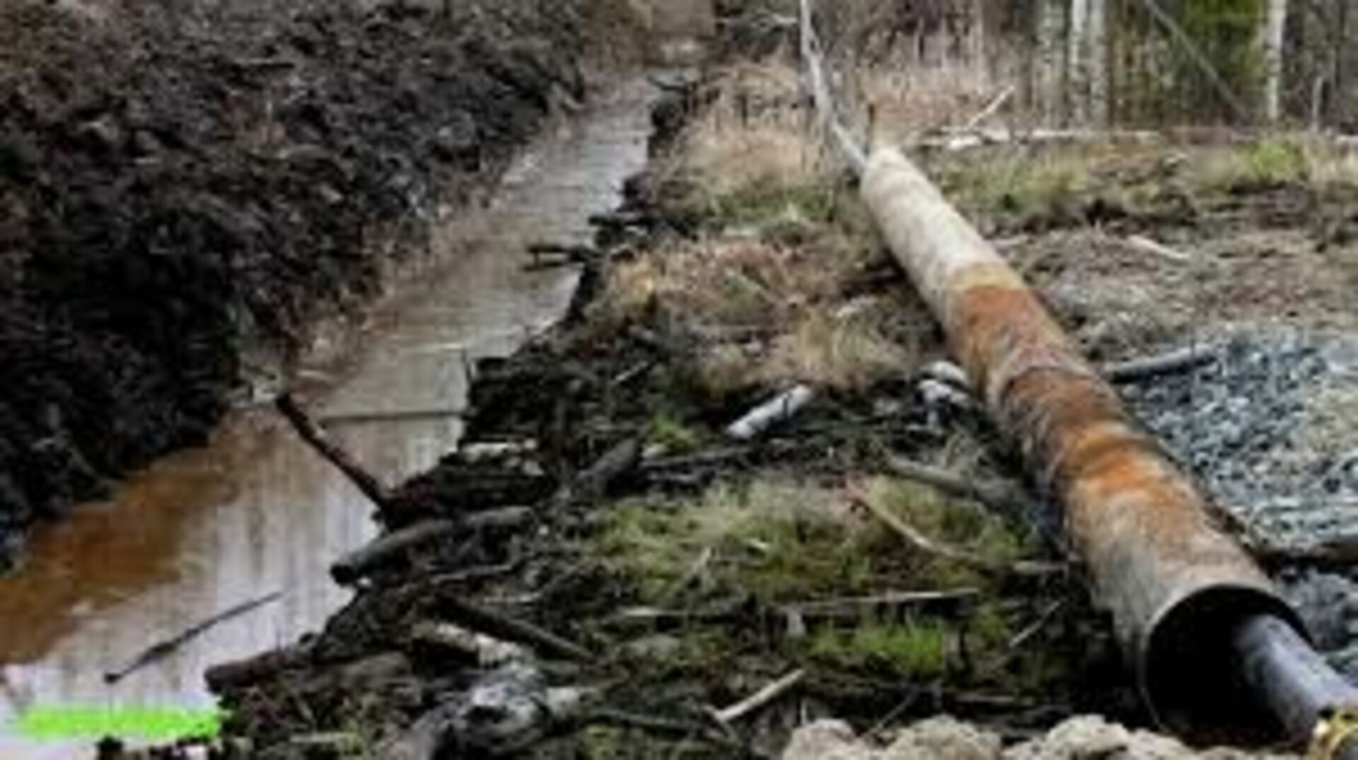 Сосна утонет в нефти. Разлив нефти трубопровод. Разливы нефти ХМАО Югра. Трубопровод в лесу. Разлив нефтепродуктов на почву.