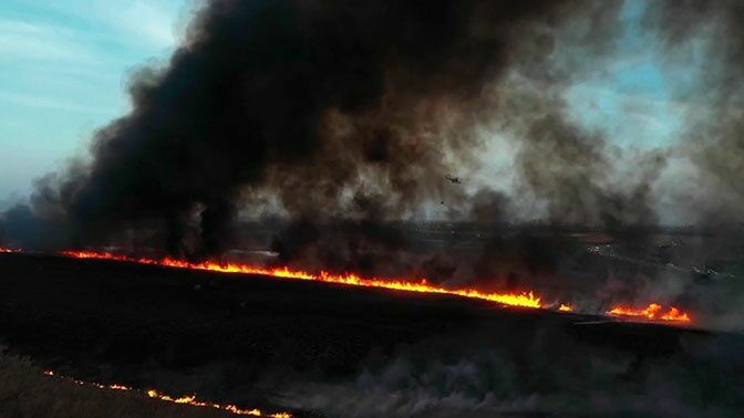 В Воронежской области пожары охватили более 320 га