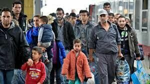 TIMES:  беженцы продают свои европейские паспорта и возвращаются в Сирию