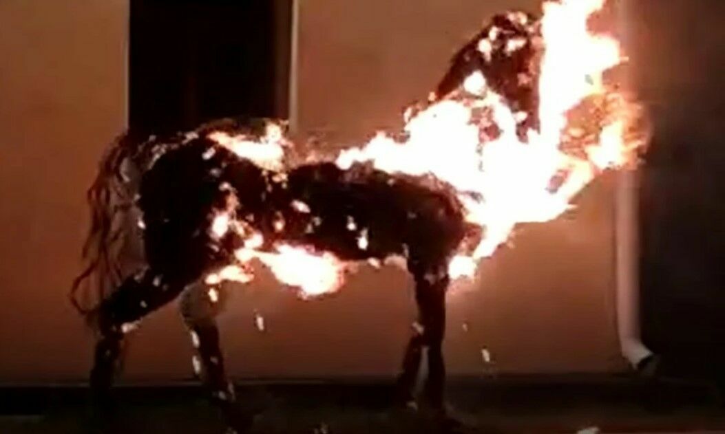 В Омской крепости сгорела соломенная лошадь за 200 тысяч рублей (ВИДЕО)