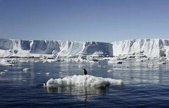 От Антарктиды может отколоться айсберг размером в две Москвы