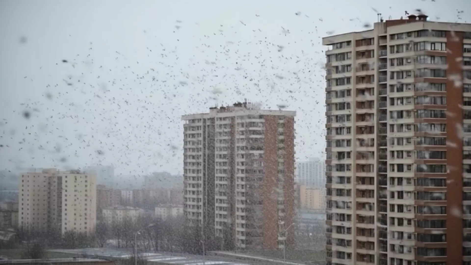 На Москву надвигается новая волна снегопада, а потом столицу ждет предзимний кульбит