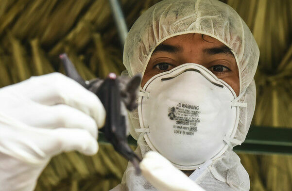 Юный пранкер из Тюмени ловил якобы зараженных коронавирусом граждан