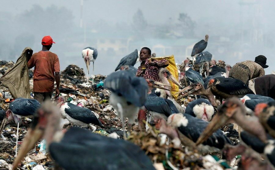Пластиковые пакеты  запрещают даже в странах Африки, только не в России