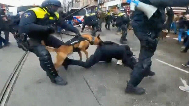 На протестующих против ковидных ограничений в Амстердаме спустили собак