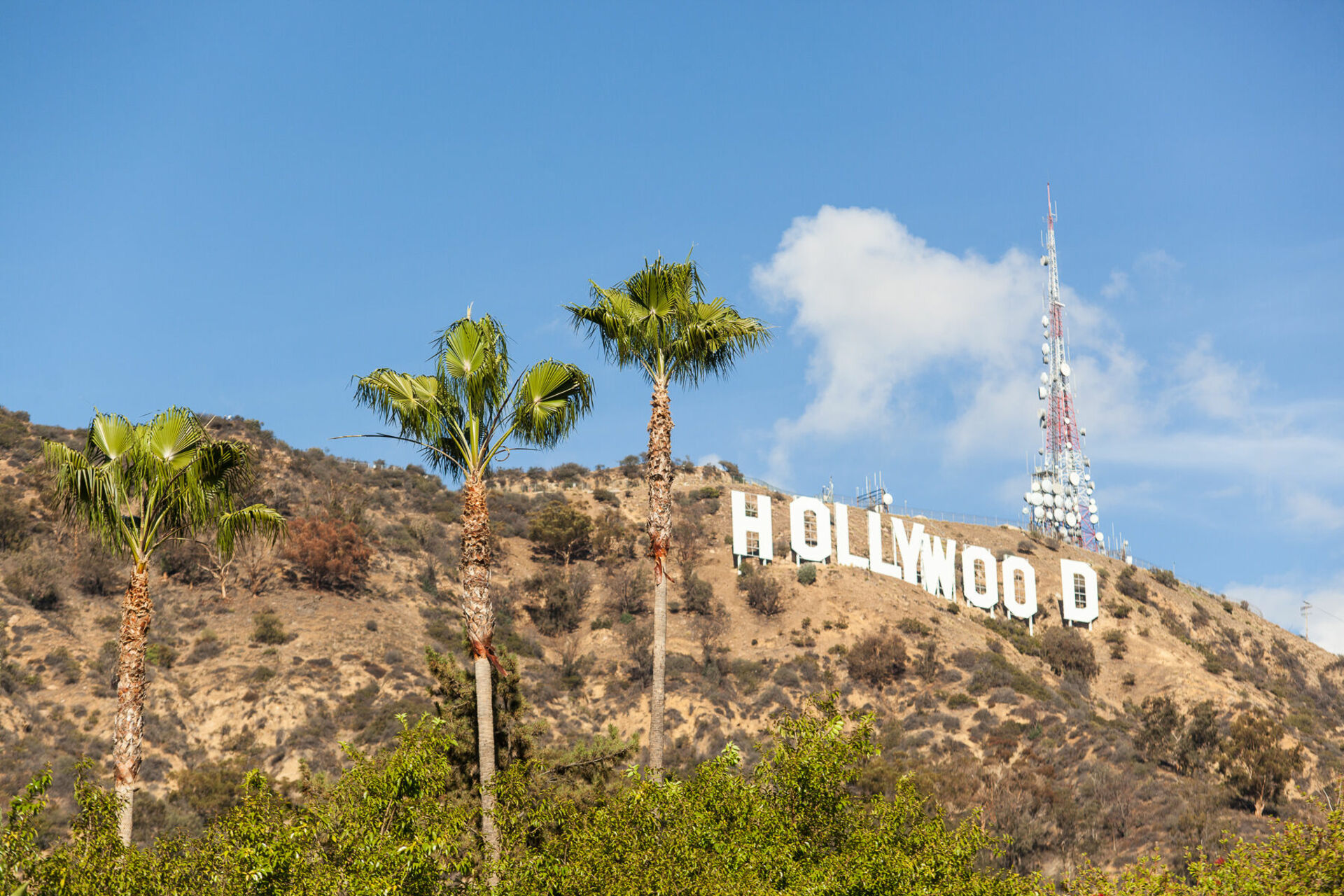 Голливуд это город. Лос-Анджелес Калифорния Голливуд. США Лос Анджелес Голливуд. Лос-Анджелес Калифорния надпись Голливуд. Лос Анджелес голливудские холмы.