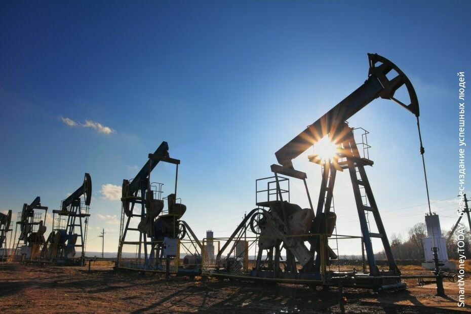 Запасов нефти в Пермском крае хватит еще как минимум на 30 лет