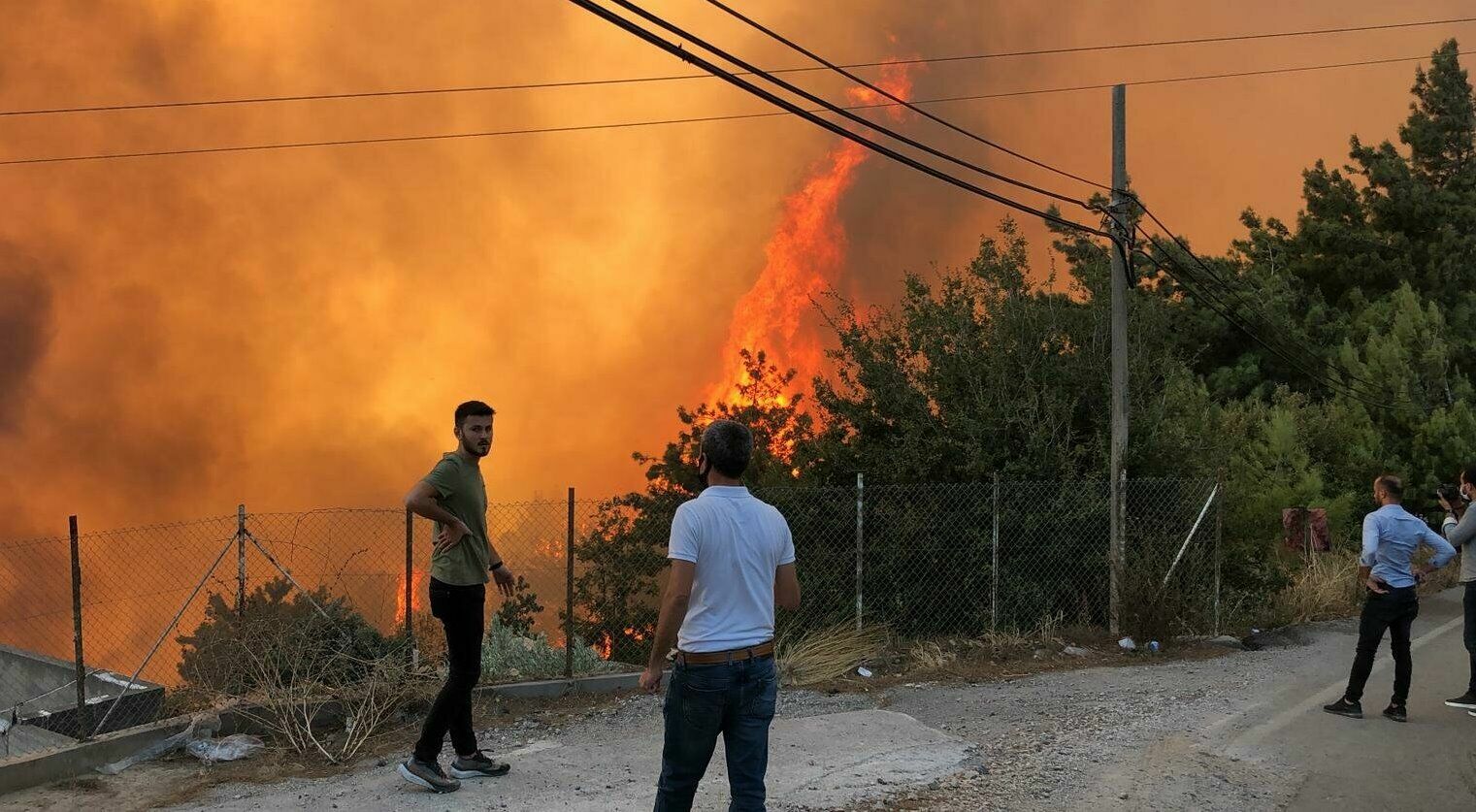 Восемь человек погибли при лесных пожарах в Турции