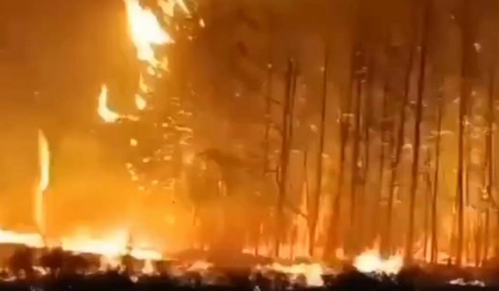 В Казахстане площадь природных пожаров превысила 43 тысячи гектар (ВИДЕО)
