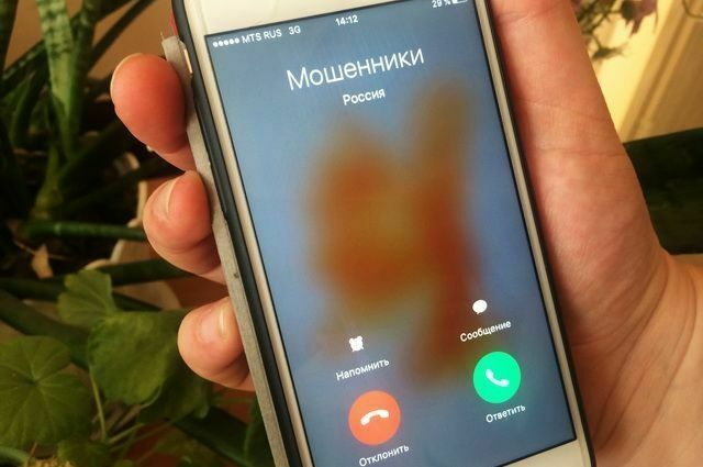 Силовики в Волгограде задержали банду телефонных мошенников (ВИДЕО)