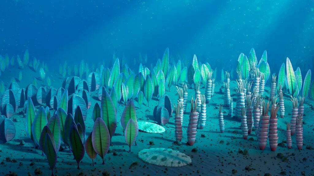 Биологи: у человека есть гены морских чудовищ, вымерших помиллиарда лет назад