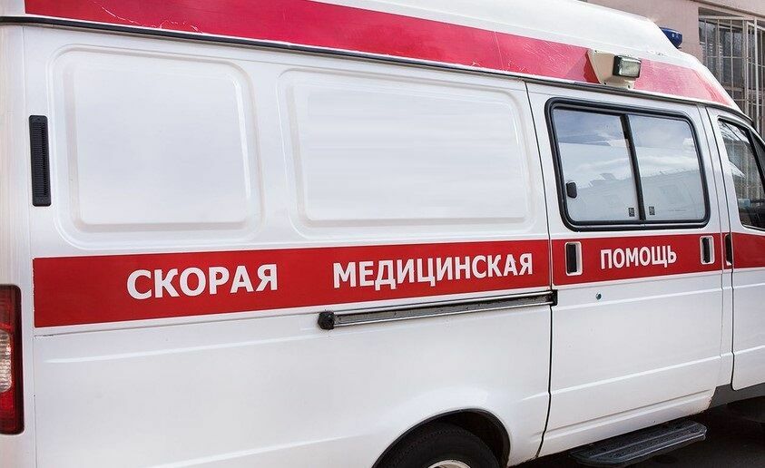В Москве из-за падения деревьев госпитализированы четыре человека
