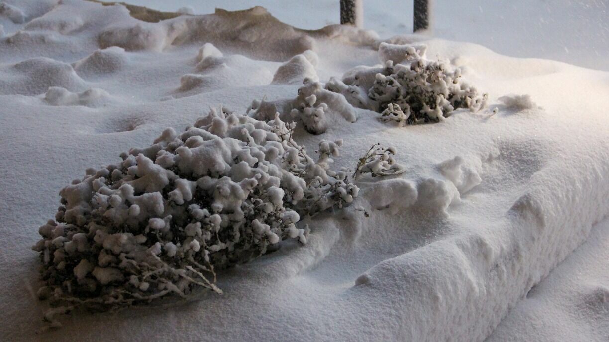 Жителей Якутска бросили на борьбу со «снежным Апокалипсисом»