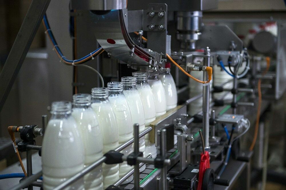 15 грузинским предприятиям разрешили поставлять в РФ молочную продукцию