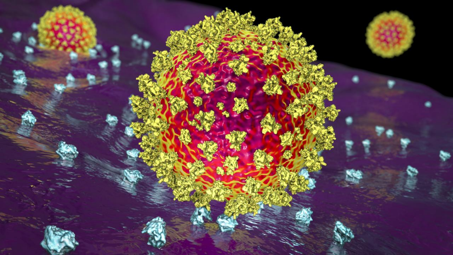 Субварианты BA.4 и BA.5 могут быть самыми заразными в истории человечества вирусами