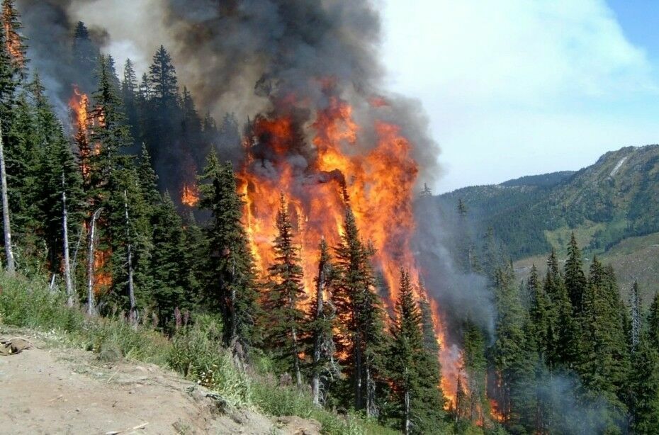 Лесные пожары в Якутии подобрались к Светлинской ГЭС