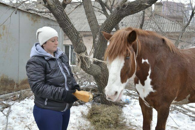 Прокатчицу лошадей из Находки обвинили в издевательстве над животными