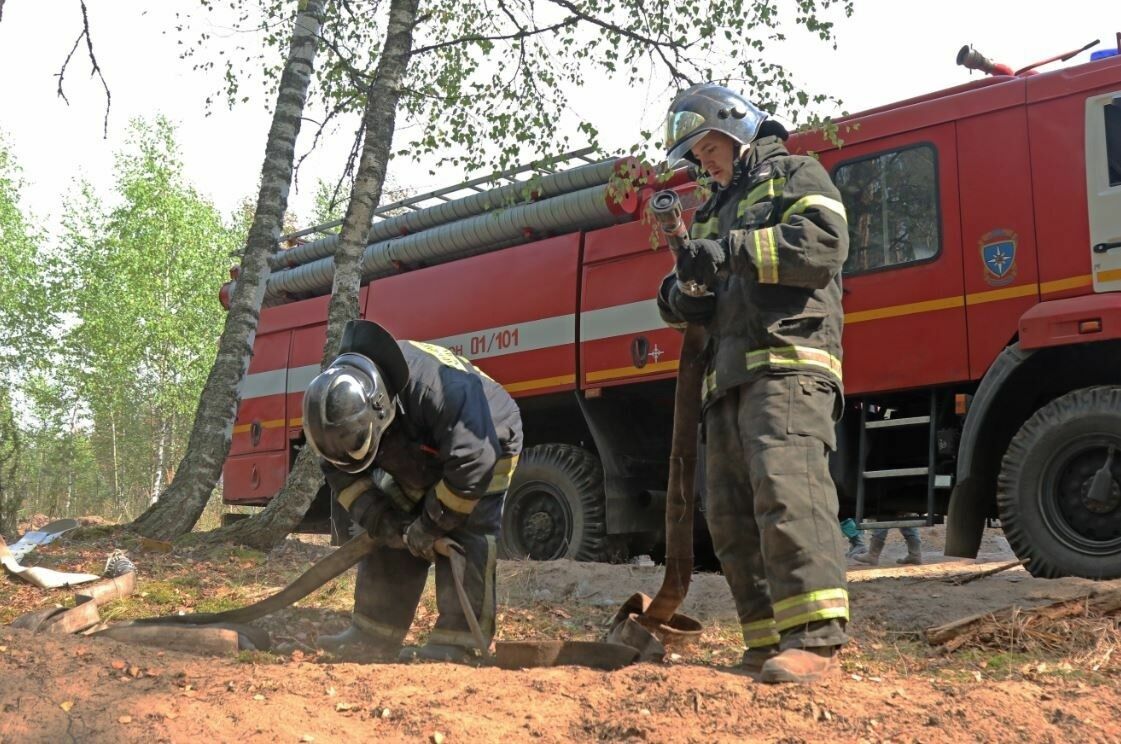 В Рязанской области остановили распространение лесных пожаров