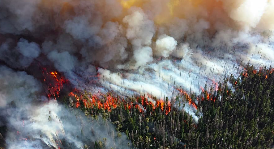 Лесные пожары в России продолжаются, несмотря на осень