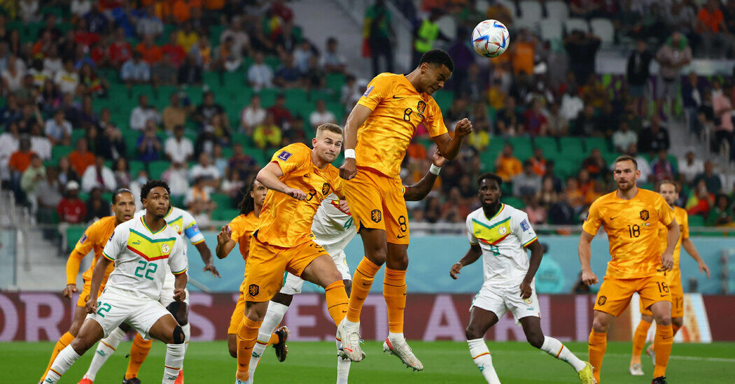 Нидерланды выиграли у Сенегала 2:0 в матче ЧМ-2022 в Катаре
