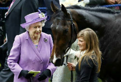 Елизавету II  могут оштрафовать из-за допинг-скандала со скаковой лошадью