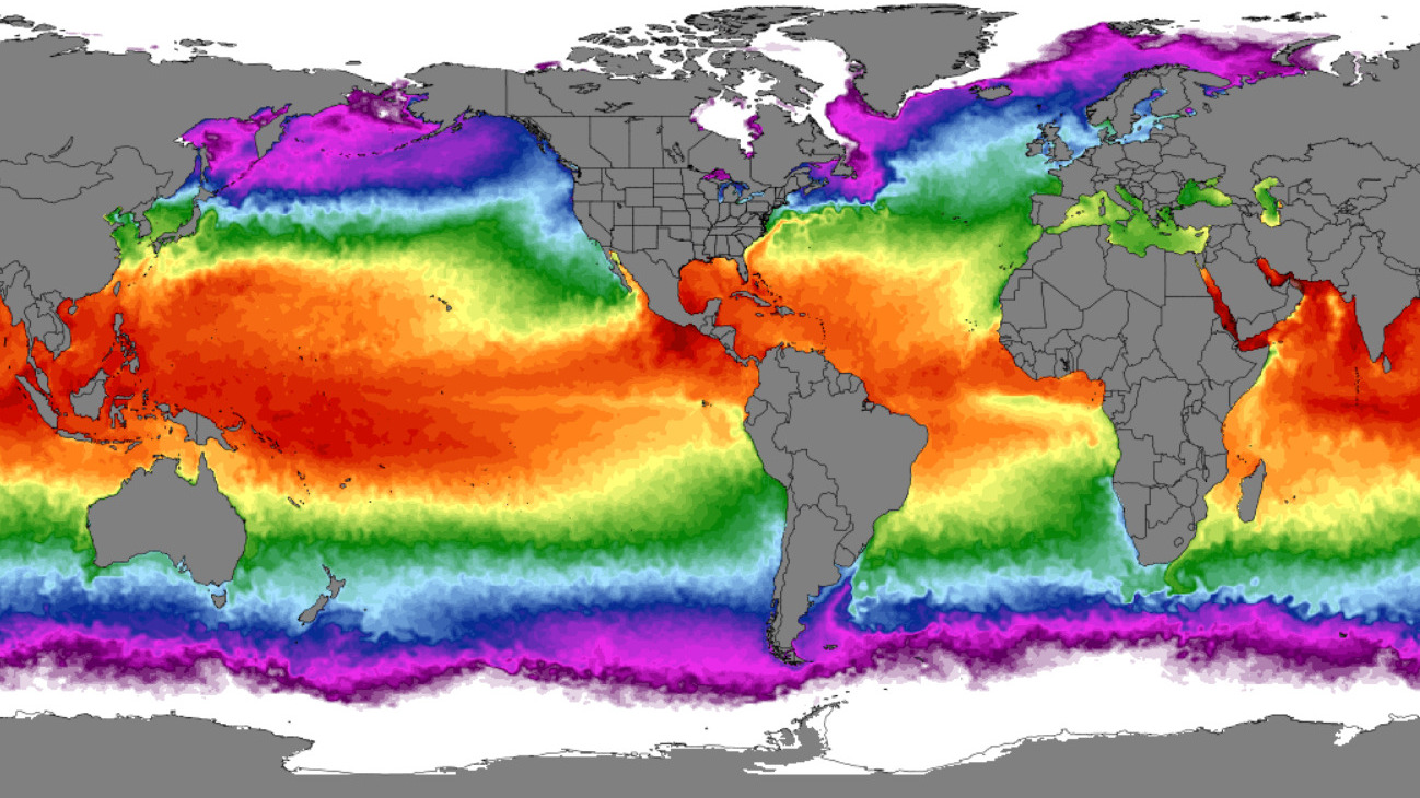 Температура поверхностных вод Мирового океана. Данные 17 июня 2023 года