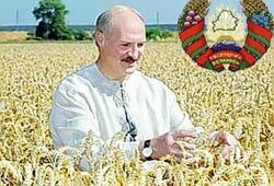 Назначена дата выборов президента Белоруссии