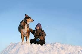 Собаки помогли выжить в зимнем лесу двум школьникам на Урале