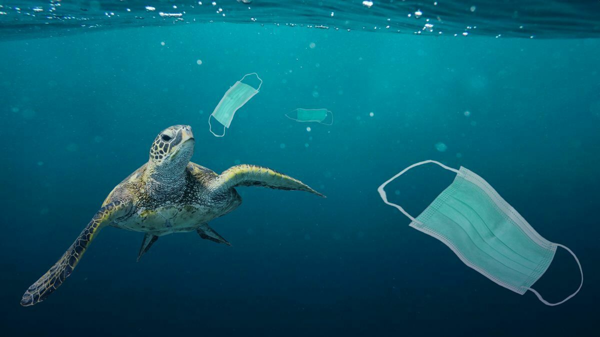 В Мировой океан попало 26 000 тонн ковидных пластиковых отходов