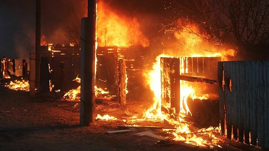 Пожары в Забайкалье: пострадавшим построят или купят жилье на 300 млн руб.