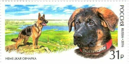 Подаренный французским полицейским пес Добрыня появился на почтовой марке