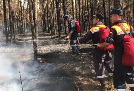 Лесной пожар на севере Ростовской области привел к человеческим жертвам