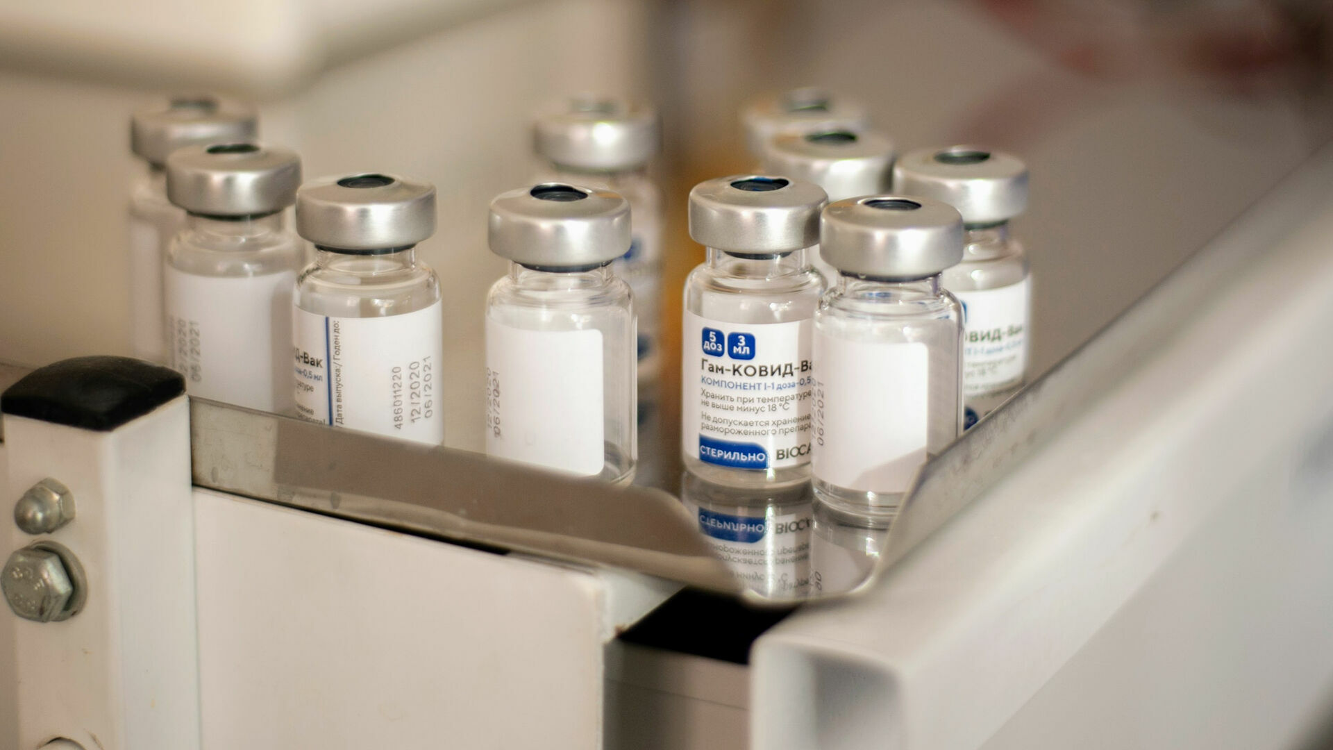 Ростех и Институт стволовых клеток человека создают единую вакцину от ковида и гриппа