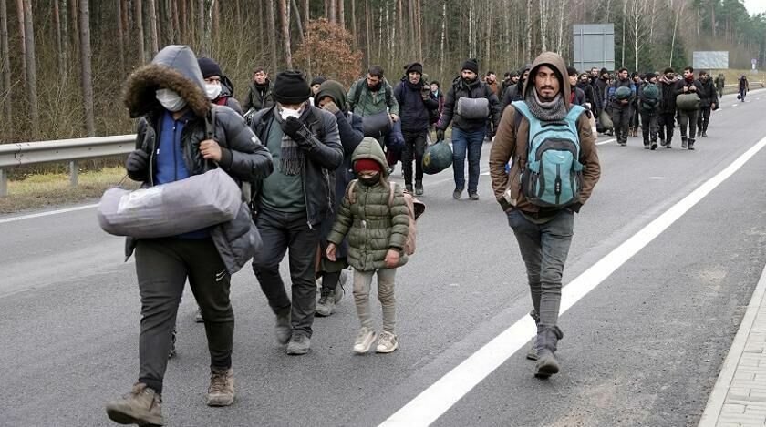 Amnesty International не получила допуск к мигрантам на белорусской границе
