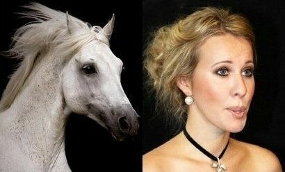 Собчак заявила в Ростове, что ее схожесть с лошадью не должна мешать гражданам России