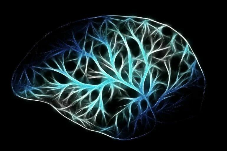 В мозгу больных ковидом обнаружили структуры, напоминающие болезнь Альцгеймера