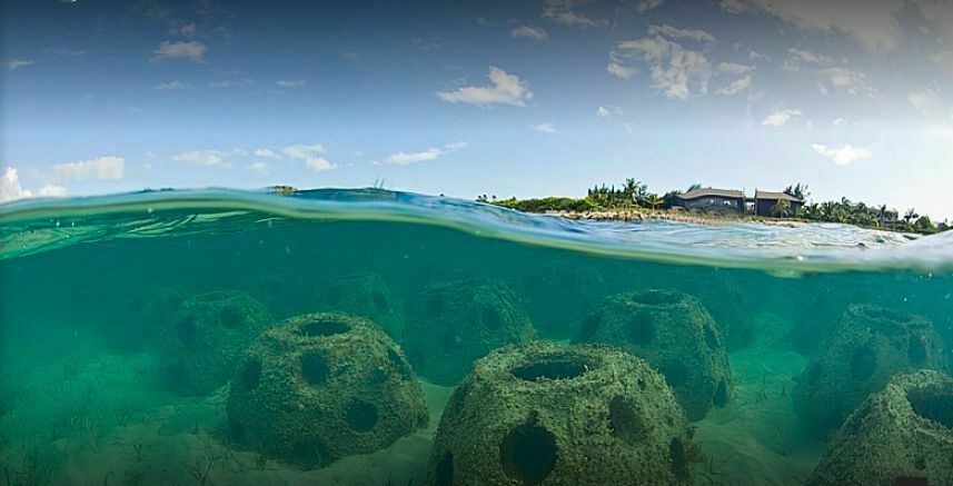 Каждый человек – коралл: на Запад пришла мода на захоронения в рифовых шарах