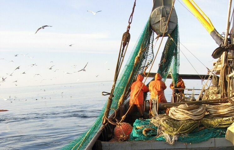 Годовой ущерб от незаконного вылова рыбы в Тихом океане - $142 млн