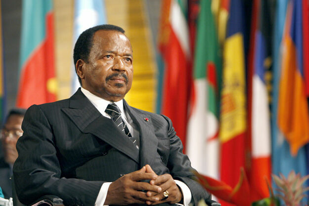 Посла США в Камеруне обвинили во вмешательстве в выборы