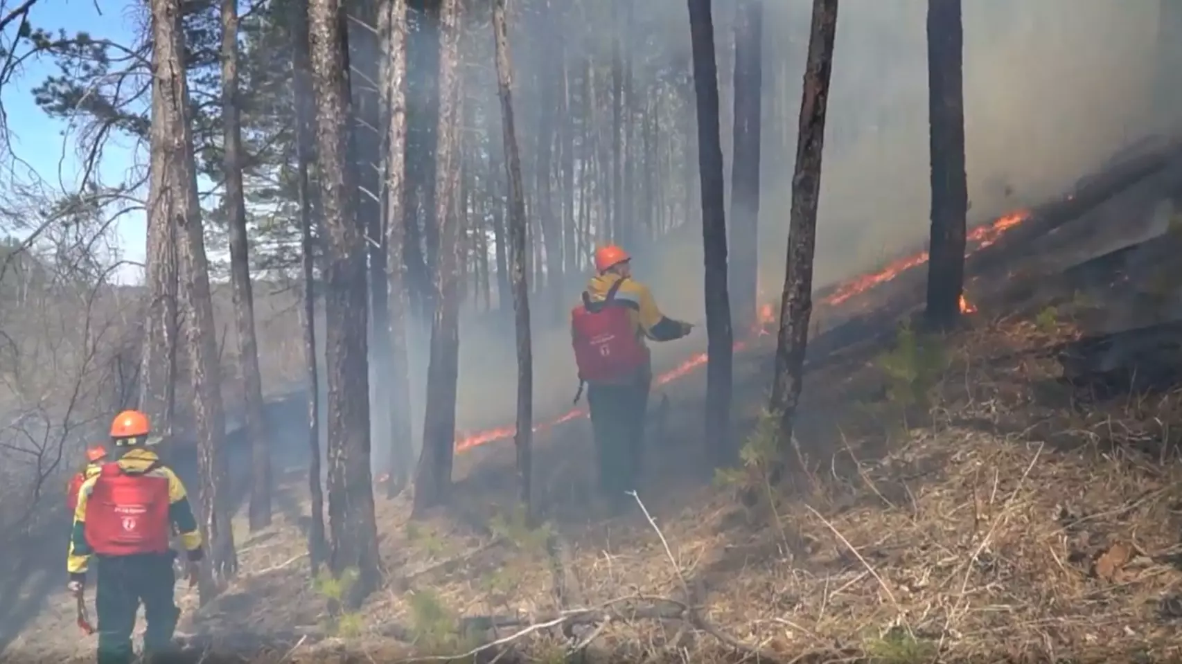 В России начались лесные пожары