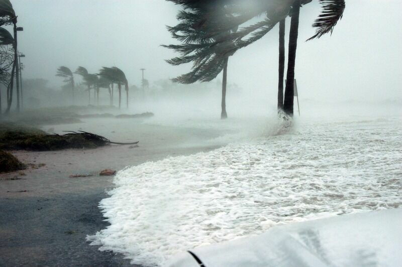 Синоптики сообщили о воздействии нового тайфуна Muifa на погоду в Приморье